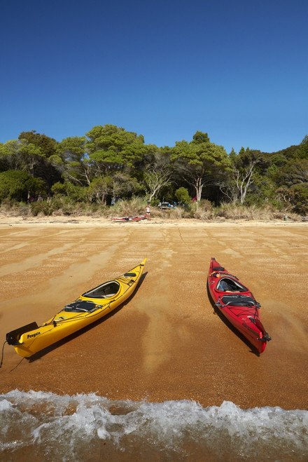 Kayaks and campsite, Te Pukatea Bay, Abel Tasman NP, Nelson Region, South Island, New Zealand Poster Print by David Wall - Item # VARPDDAU03DWA0066