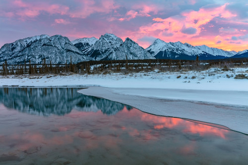 Mountains reflecting in pool from the North Saskatchewan River near Nordegg, Alberta, Canada Poster Print by Chuck Haney - Item # VARPDDCN01CHA0173