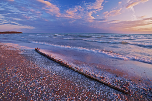 Canada, Ontario, Sandbanks Provincial Park. Pebbles and shells on Lake Ontario shoreline. Poster Print by Jaynes Gallery - Item # VARPDDCN08BJY0169