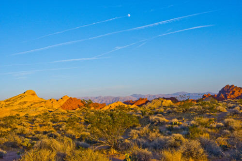 USA, Nevada. Overton, Valley of Fire State Park, First Nevada Park, Fire Canyon Silica Dome Poster Print by Bernard Friel - Item # VARPDDUS29BFR0266