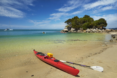 Kayak and Fisherman Island, Abel Tasman National Park, Nelson Region, South Island, New Zealand Poster Print by David Wall - Item # VARPDDAU03DWA0022