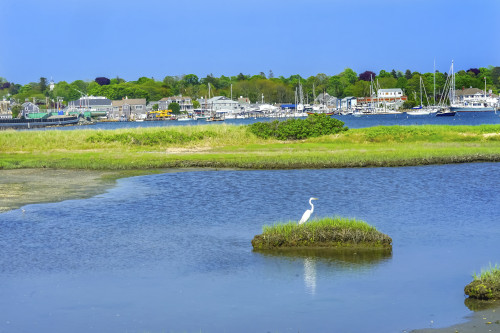 Great white egret marsh, Padanaram Village, Harbor Bridge, Buzzards Bay, Massachusetts, USA. Poster Print by William Perry - Item # VARPDDUS22WPE0004