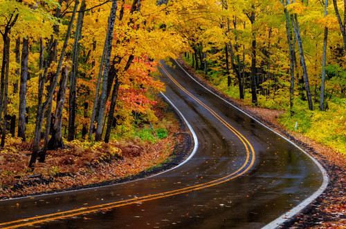 Highway 41 covered roadway in autumn near Copper Harbor in the Upper Peninsula of Michigan, USA Poster Print by Chuck Haney (24 x 18) # US23CHA0338