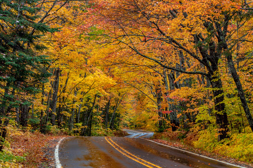 Highway 41 covered roadway in autumn near Copper Harbor in the Upper Peninsula of Michigan, USA Poster Print by Chuck Haney (24 x 18) # US23CHA0339