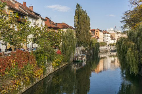 Slovenia, Ljubljana. Vines and trees provide a lush urban corridor along the Ljubljanica River. Poster Print by Brenda Tharp - Item # VARPDDEU38BTH0005