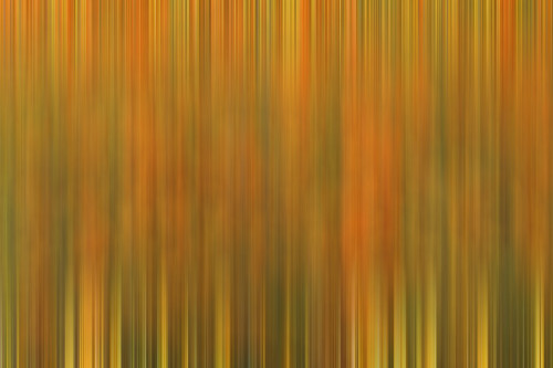 USA, California, Antelope Valley State Poppy Reserve. Blur of poppies and goldfields in field. Poster Print by Jaynes Gallery - Item # VARPDDUS05BJY1278