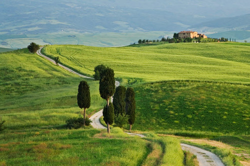 Europe, Italy, Val d'Orcia Dirt road to villa Credit as: Dennis Flaherty / Jaynes Gallery Poster Print by Jaynes Gallery (24 x 18) # EU16BJY0518