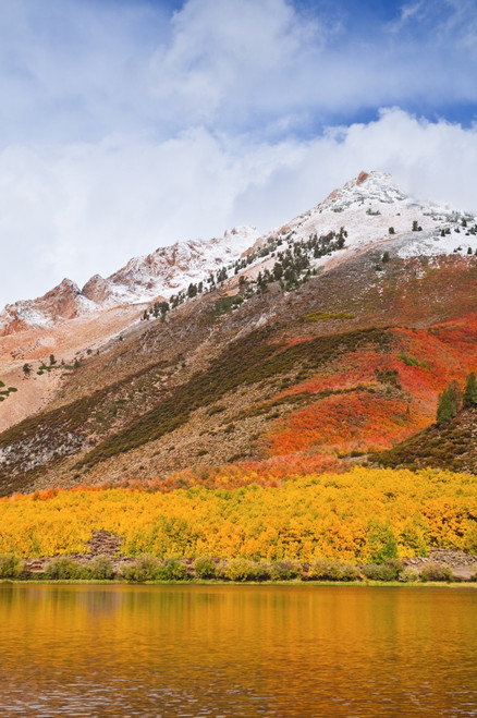 Fall color and early snow at North Lake, Inyo National Forest, Sierra Nevada Mountains, California Poster Print by Russ Bishop - Item # VARPDDUS05RBS1225