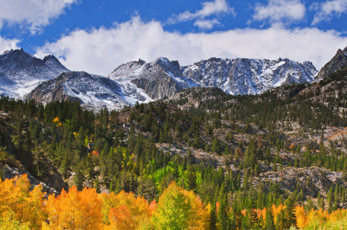 Fall color and early snow at North Lake, Inyo National Forest, Sierra Nevada Mountains, California Poster Print by Russ Bishop - Item # VARPDDUS05RBS1229