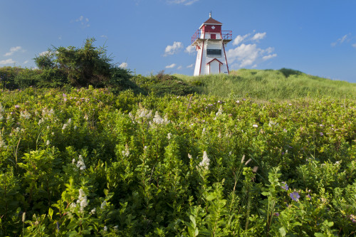 Canada, Prince Edward Island, Prince Edward Island National Park. Lighthouse at Covehead Harbour. Poster Print by Jaynes Gallery - Item # VARPDDCN09BJY0044