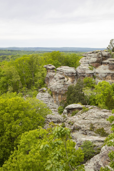 Camel Rock, Garden of the Gods Recreation Area, Shawnee National Forest, Saline County, Illinois Poster Print by Richard & Susan Day - Item # VARPDDUS14RDY2415
