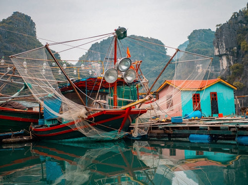 Asia, Vietnam, Quang Ninh, Ha Long Bay Colorful fishing boat at its dock is reflected in calm bay waters Poster Print by Bryce Merrill (24 x 18) # AS38BME0003