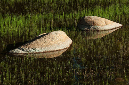 USA, California, Yosemite National Park Granite boulders in pond Credit as: Dennis Flaherty / Jaynes Gallery Poster Print by Jaynes Gallery (24 x 18) # US05BJY1412
