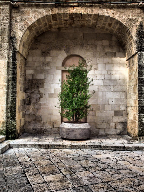 Italy, Bari, Apulia, Monopoli Arch with potted plants in the courtyard near the Basilica of the Madonna della Madia Poster Print by Julie Eggers # EU16JEG0712