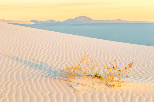 USA, New Mexico, White Sands National Park Sand dunes at sunrise Credit as: Cathy & Gordon Illg / Jaynes Gallery Poster Print by Jaynes Gallery (24 x 18) # US32BJY0444