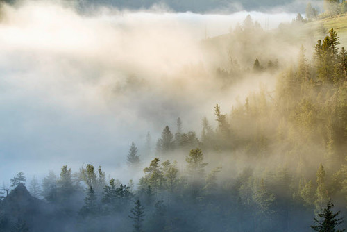 USA, Wyoming, Yellowstone National Park Mist envelopes the Yellowstone River canyon Credit as: Don Grall / Jaynes Gallery Poster Print by Jaynes Gallery (24 x 18) # US51BJY0269