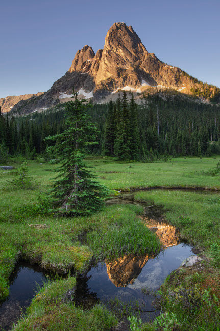 Liberty Bell Mountain reflected in still waters of State Creek, in meadows of, Washington Pass North Cascades, Washington State Poster Print by Alan Majchrowicz (18 x 24) # US48AMA0047