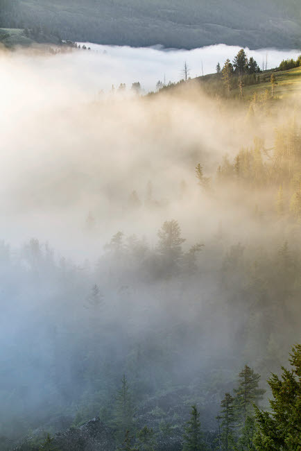 USA, Wyoming, Yellowstone National Park Mist envelopes the Yellowstone River canyon near Tower Falls Credit as: Don Grall / Jaynes Gallery Poster Print by Jaynes Gallery (18 x 24) # US51BJY0270