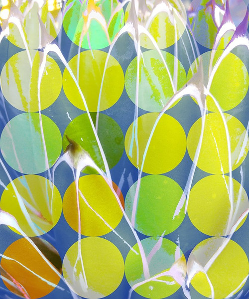 Moods Agave II Poster Print by William Tenoever # WJTABS00129