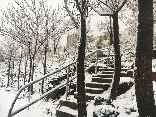 Jerome Snowy Stairs I Poster Print by Popcorn Popcorn # WJTPHO00044