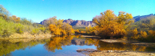 Salt RIver in Fall I Poster Print by William Tenoever # WJTLAN00085