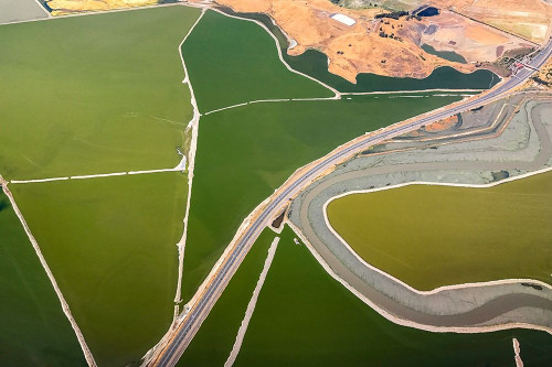 Darby - Boundaries Poster Print by 1x 1x # XI441A