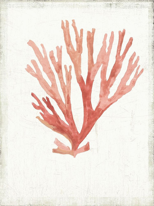 Ocean is Never Enough Poster Print by Aimee Wilson # WL374A