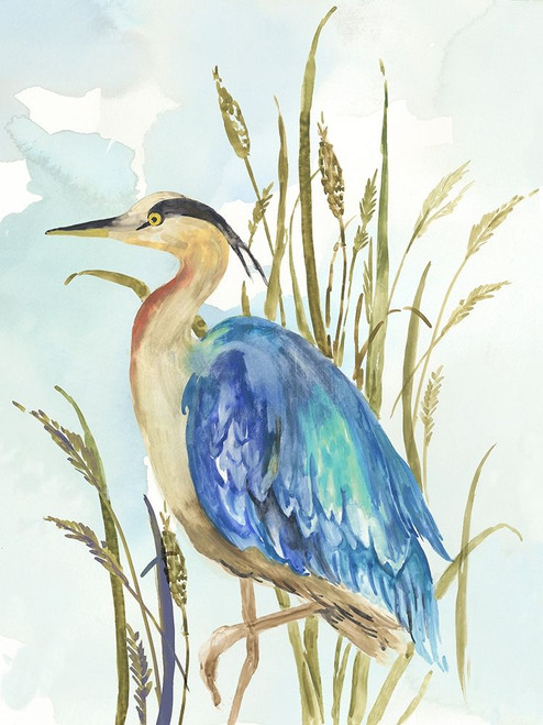 Little Blue Heron Poster Print by Aimee Wilson # WL377A