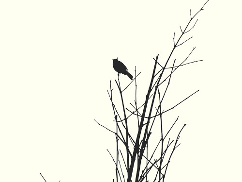 Bird Silhouette: BandW Poster Print by Popcorn Popcorn # WJTABS00037