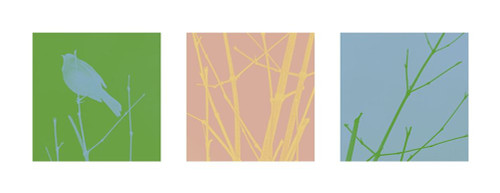 Bird Silhouette X Poster Print by Popcorn Popcorn # WJTABS00053