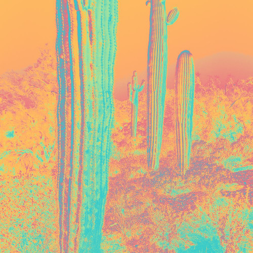 Color Blast XII Poster Print by Popcorn Popcorn # WJTABS00062