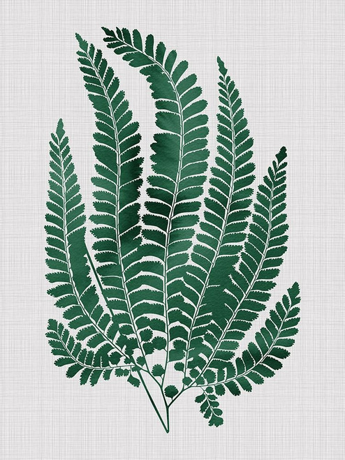 Maple Green Poster Poster Print by Urban Road Urban Road # URP75