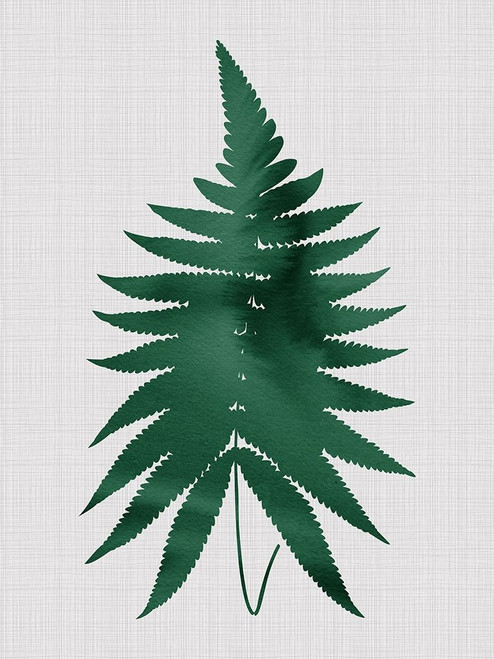 Fern Green Poster Poster Print by Urban Road Urban Road # URP77