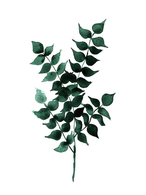 Cedar Green Poster Poster Print by Urban Road Urban Road # URP111