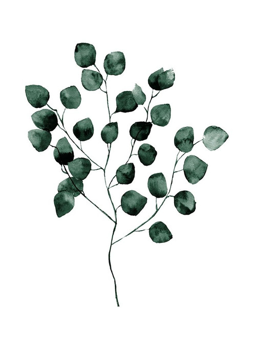 Silver Dollar Green Poster Poster Print by Urban Road Urban Road # URP109