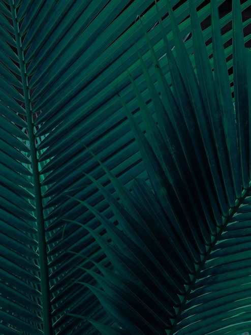 Shade I Poster Print by Urban Road Urban Road # UR532