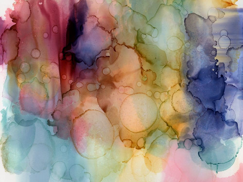 Desert Fawn Poster Print by Urban Road Urban Road # UR11111