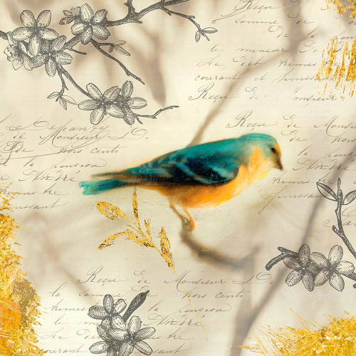 Backyard Birds I Poster Print by Matina Theodosiou # TE007A