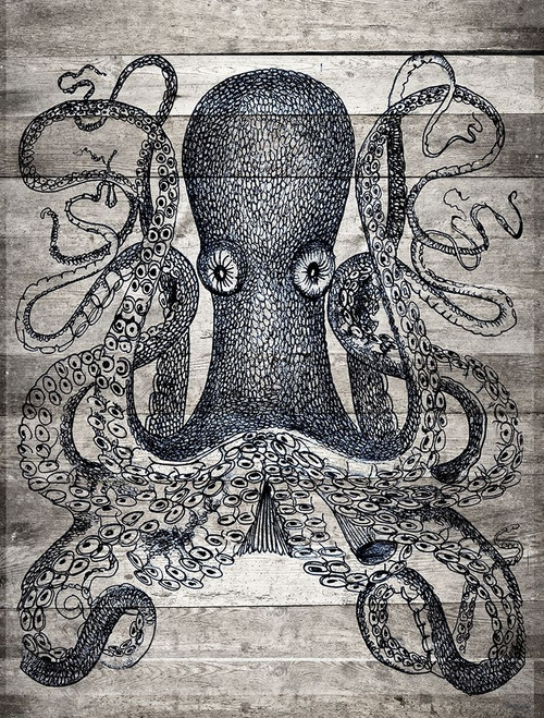 Kraken II Poster Print by Stellar Design Studio Stellar Design Studio # SDS390