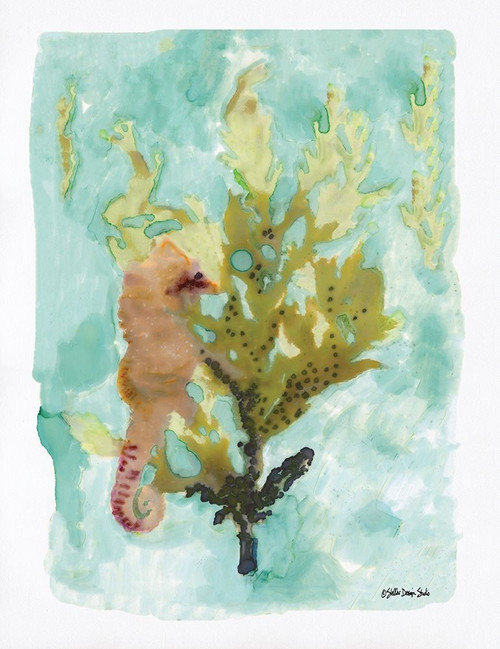 Seahorse 1 Poster Print by Stellar Design Studio Stellar Design Studio # SDS122