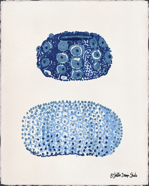 From the Sea 1 Poster Print by Stellar Design Studio Stellar Design Studio # SDS115