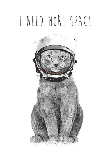 I Need More Space Poster Print by Balazs Solti # S1884D