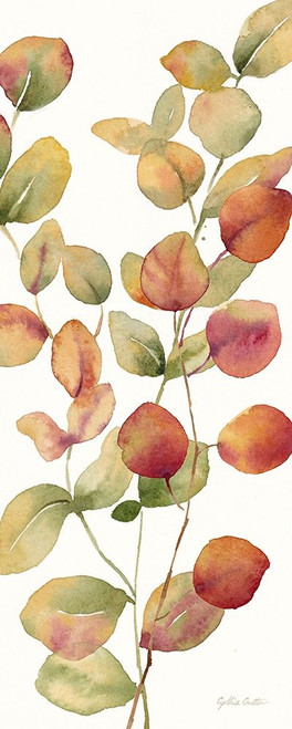 Fall Botanical Panel I Poster Print by Cynthia Coulter # RB14592CC