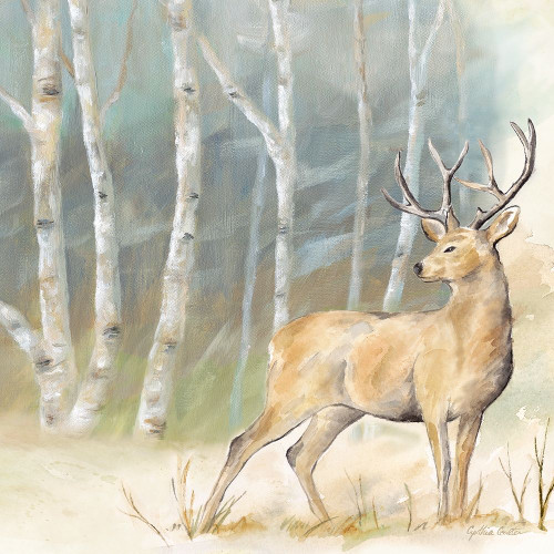 Woodland Reflections III-Deer Poster Print by Cynthia Coulter # RB14624CC
