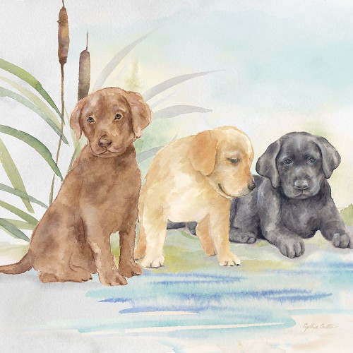 Woodland Dogs III Poster Print by Cynthia Coulter # RB14631CC