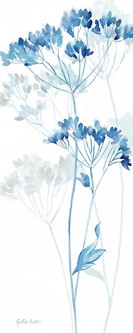 Indigo Botanical panel IV Poster Print by Cynthia Coulter # RB14289CC