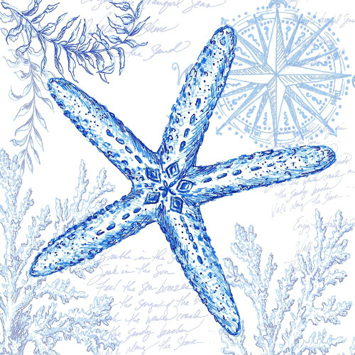 Coastal Sketchbook-Starfish  Poster Print by Tre Sorelle Studios Tre Sorelle Studios # RB13852TS