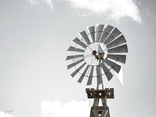 Windmill    Poster Print by Lauren Rader # RAD1342