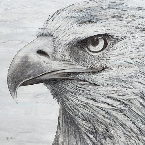 Portrait of an Eagle Poster Print by Marie Elaine Cusson # RB14902MC Portrait of an Eagle Poster Print by Marie Elaine Cusson # RB14902MC