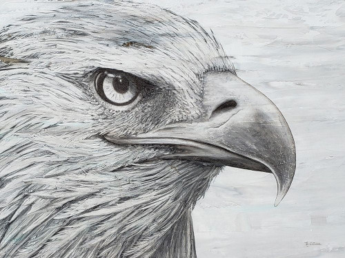 Eagle landscape Poster Print by Marie Elaine Cusson # RB14903MC